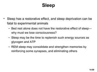 14-99
Sleep
• Sleep has a restorative effect, and sleep deprivation can be
fatal to experimental animals
– Bed rest alone does not have the restorative effect of sleep—
why must we lose consciousness?
– Sleep may be the time to replenish such energy sources as
glycogen and ATP
– REM sleep may consolidate and strengthen memories by
reinforcing some synapses, and eliminating others
 