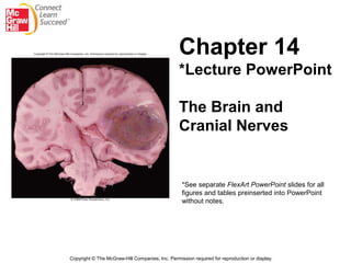 Copyright © The McGraw-Hill Companies, Inc. Permission required for reproduction or display.
*See separate FlexArt PowerPoint slides for all
figures and tables preinserted into PowerPoint
without notes.
Chapter 14
*Lecture PowerPoint
The Brain and
Cranial Nerves
 