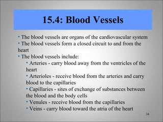15.4: Blood Vessels The blood vessels are organs of the cardiovascular system The blood vessels form a closed circuit to and from the heart The blood vessels include: Arteries - carry blood away from the ventricles of the heart Arterioles - receive blood from the arteries and carry blood to the capillaries Capillaries - sites of exchange of substances between the blood and the body cells Venules - receive blood from the capillaries Veins - carry blood toward the atria of the heart 