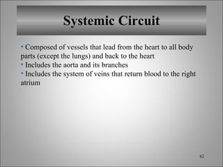 Systemic Circuit Composed of vessels that lead from the heart to all body parts (except the lungs) and back to the heart Includes the aorta and its branches Includes the system of veins that return blood to the right atrium 