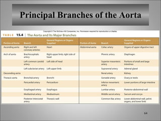 Principal Branches of the Aorta 