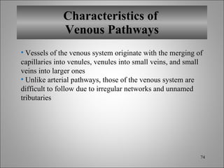 Characteristics of  Venous Pathways Vessels of the venous system originate with the merging of capillaries into venules, venules into small veins, and small veins into larger ones Unlike arterial pathways, those of the venous system are difficult to follow due to irregular networks and unnamed tributaries 