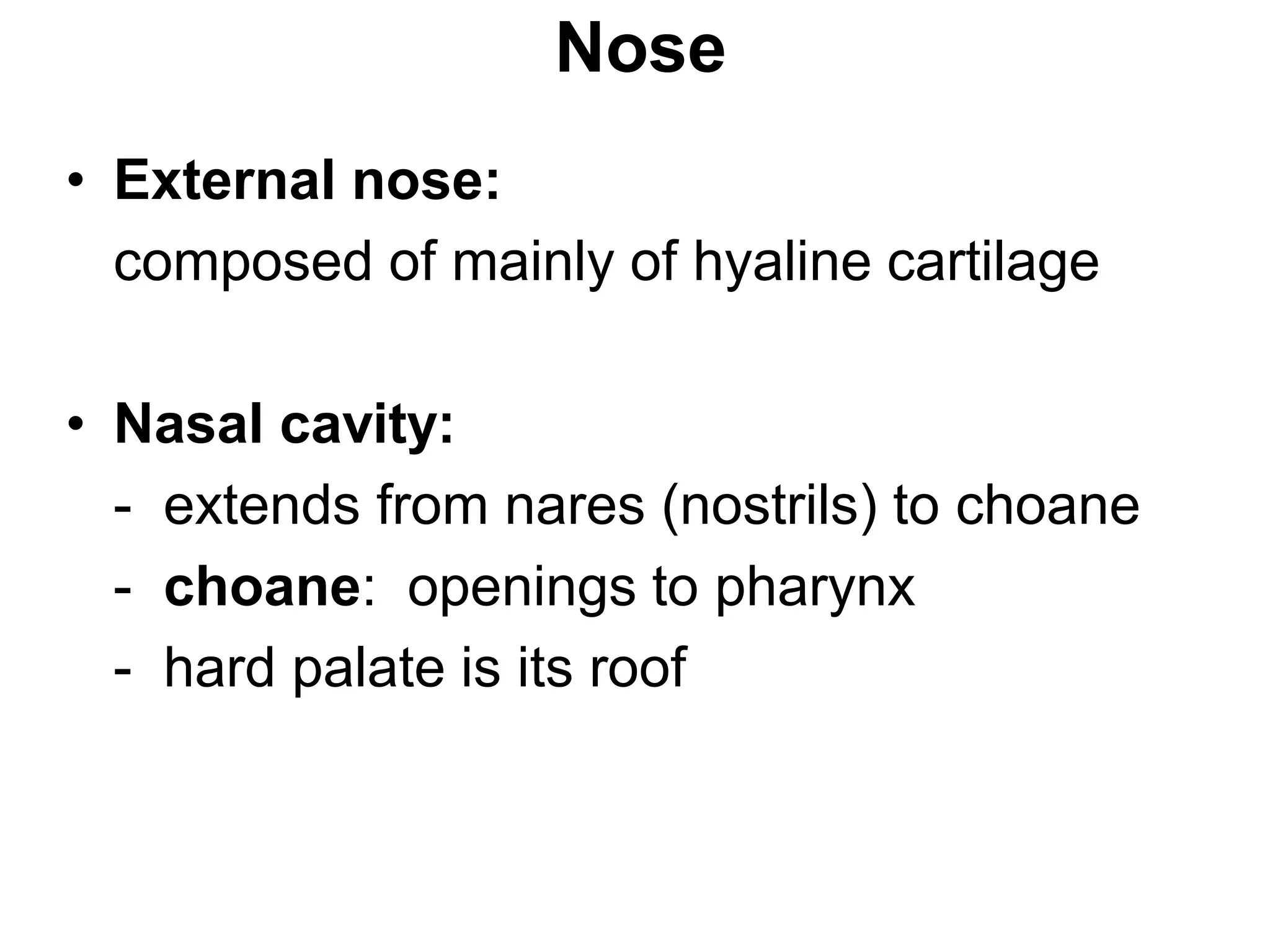 chapt15_RESPIRATORY-SYSTEM.pdf
