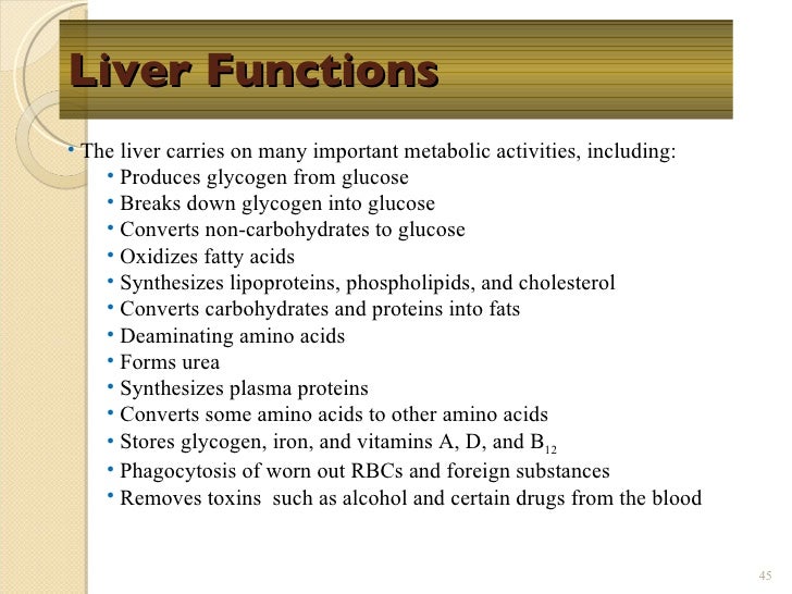 major functions of the liver pdf major functions of the liver pdf