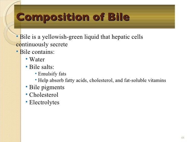 Chapt17 digestive system