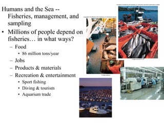 Humans and the Sea -- 
Fisheries, management, and 
sampling 
• Millions of people depend on 
fisheries… in what ways? 
– Food 
• 86 million tons/year 
– Jobs 
– Products & materials 
– Recreation & entertainment 
• Sport fishing 
• Diving & tourism 
• Aquarium trade 
 