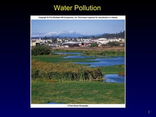 Water Pollution 