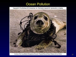 Ocean Pollution 