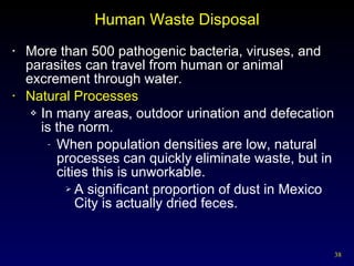 Human Waste Disposal More than 500 pathogenic bacteria, viruses, and parasites can travel from human or animal excrement through water. Natural Processes In many areas, outdoor urination and defecation is the norm. When population densities are low, natural processes can quickly eliminate waste, but in cities this is unworkable. A significant proportion of dust in Mexico City is actually dried feces. 
