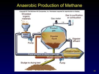 Anaerobic Production of Methane 