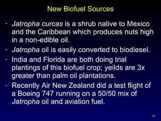 New Biofuel Sources Jatropha curcas  is a shrub native to Mexico and the Caribbean which produces nuts high in a non-edible oil. Jatropha  oil is easily converted to biodiesel. India and Florida are both doing trial plantings of this biofuel crop; yeilds are 3x greater than palm oil plantations. Recently Air New Zealand did a test flight of a Boeing 747 running on a 50/50 mix of  Jatropha  oil and aviation fuel. 