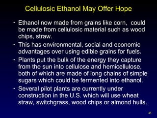 Cellulosic Ethanol May Offer Hope Ethanol now made from grains like corn,  could be made from cellulosic material such as wood chips, straw. This has environmental, social and economic advantages over using edible grains for fuels. Plants put the bulk of the energy they capture from the sun into cellulose and hemicellulose, both of which are made of long chains of simple sugars which could be fermented into ethanol. Several pilot plants are currently under construction in the U.S. which will use wheat straw, switchgrass, wood chips or almond hulls. 