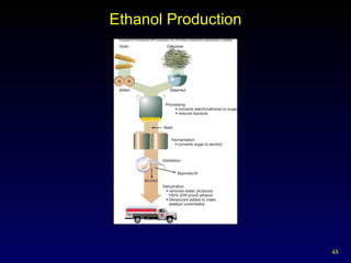 Ethanol Production 