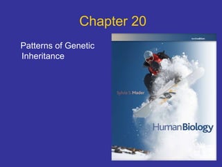 Chapter 20
Patterns of Genetic
Inheritance
 