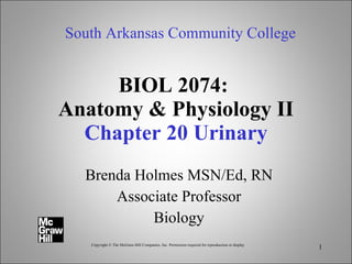 BIOL 2074:  Anatomy & Physiology II Chapter 20 Urinary Brenda Holmes MSN/Ed, RN Associate Professor Biology South Arkansas Community College Copyright © The McGraw-Hill Companies, Inc. Permission required for reproduction or display 