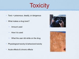 Toxicity
Toxic = poisonous, deadly, or dangerous
What makes a drug toxic?
Amount used
How it is used
What the user did while on the drug
Physiological toxicity & behavioral toxicity
Acute effects & chronic effects
 