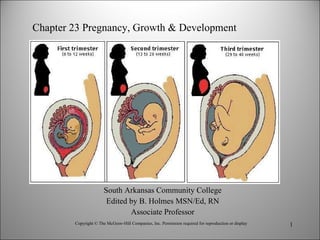 South Arkansas Community College Edited by B. Holmes MSN/Ed, RN Associate Professor Copyright © The McGraw-Hill Companies, Inc. Permission required for reproduction or display Chapter 23 Pregnancy, Growth & Development 