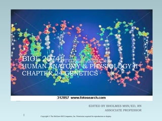 BIOL 2074: HUMAN ANATOMY & PHYSIOLOGY II CHAPTER 24 GENETICS EDITED BY BHOLMES MSN/ED, RN ASSOCIATE PROFESSOR Copyright © The McGraw-Hill Companies, Inc. Permission required for reproduction or display. 