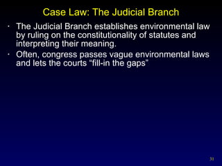 Case Law: The Judicial Branch The Judicial Branch establishes environmental law by ruling on the constitutionality of statutes and interpreting their meaning. Often, congress passes vague environmental laws and lets the courts “fill-in the gaps” 