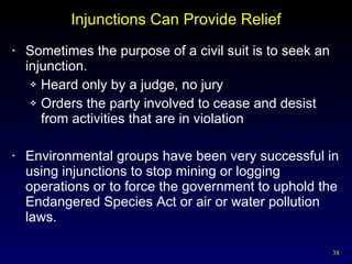 Injunctions Can Provide Relief Sometimes the purpose of a civil suit is to seek an injunction.  Heard only by a judge, no jury Orders the party involved to cease and desist from activities that are in violation Environmental groups have been very successful in using injunctions to stop mining or logging operations or to force the government to uphold the Endangered Species Act or air or water pollution laws. 
