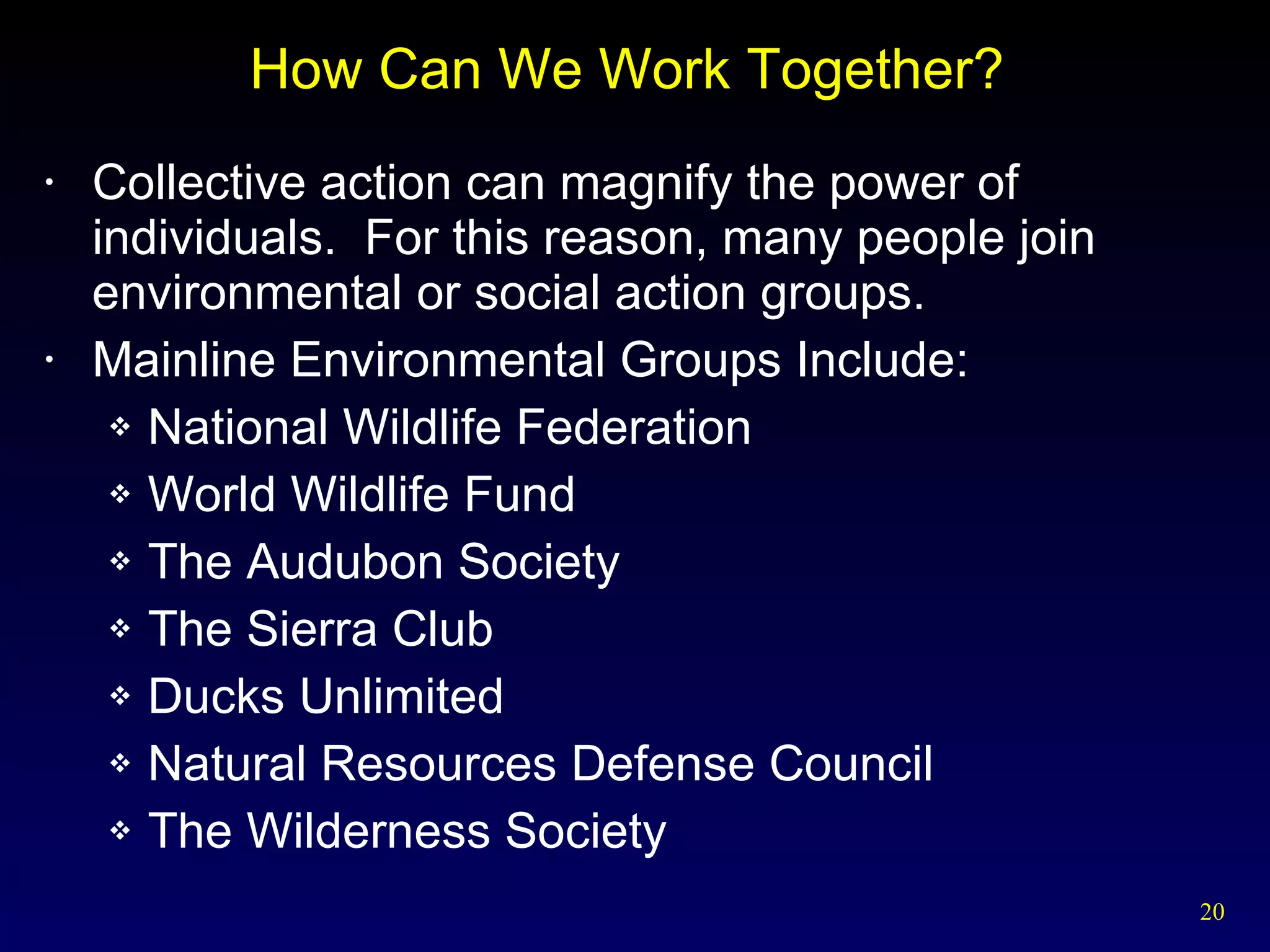 How Can We Work Together?  Collective action can magnify the power of individuals.  For this reason, many people join environmental or social action groups. Mainline Environmental Groups Include: National Wildlife Federation World Wildlife Fund The Audubon Society The Sierra Club Ducks Unlimited Natural Resources Defense Council The Wilderness Society 