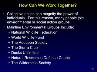 How Can We Work Together?  Collective action can magnify the power of individuals.  For this reason, many people join environmental or social action groups. Mainline Environmental Groups Include: National Wildlife Federation World Wildlife Fund The Audubon Society The Sierra Club Ducks Unlimited Natural Resources Defense Council The Wilderness Society 