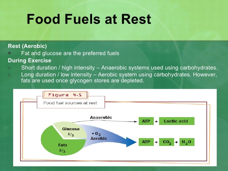 The Role Of Carbohydrate, Fat And Protein As Fuels For Aerobic And Anaerobic Energy Production ...