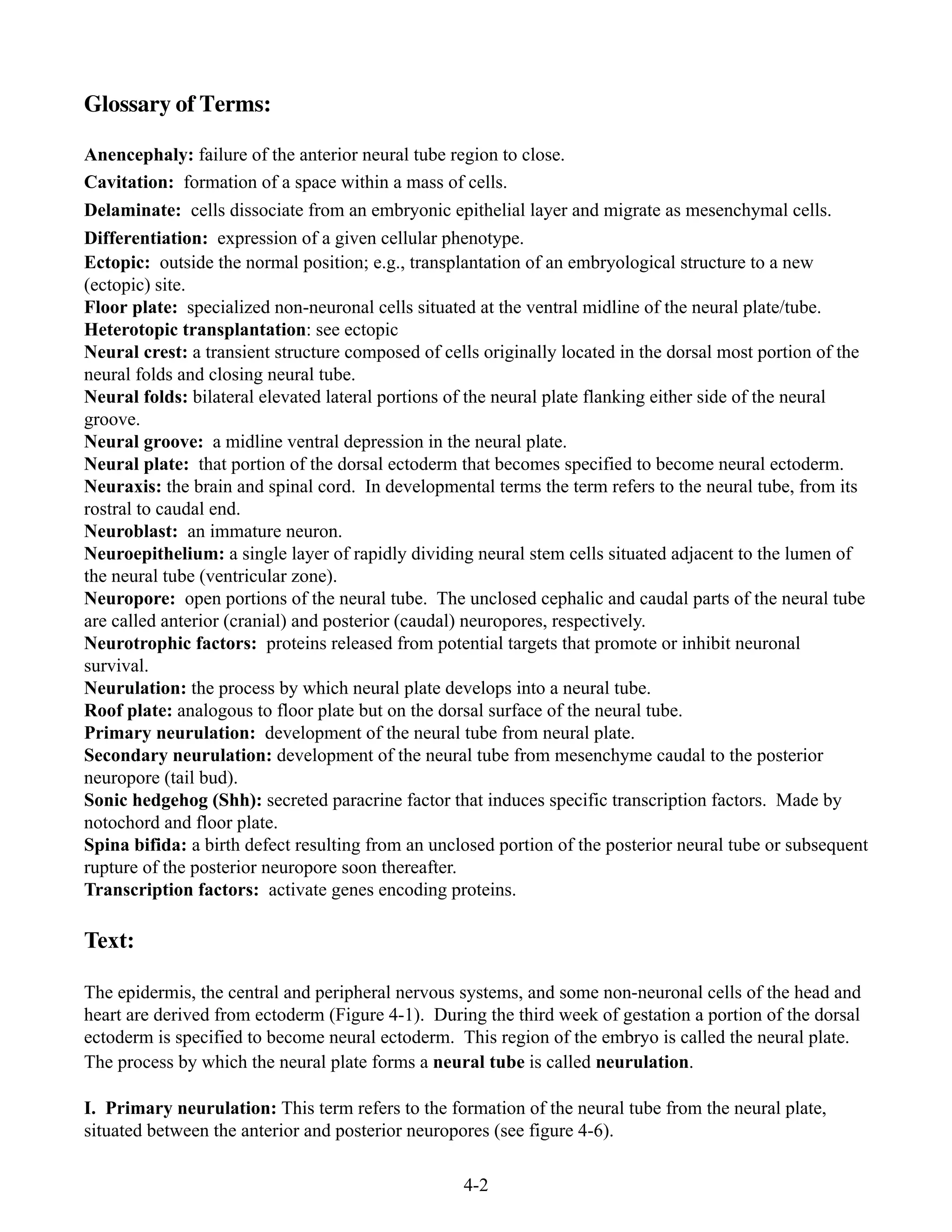 4-2
Glossary of Terms:
Anencephaly: failure of the anterior neural tube region to close.
Cavitation: formation of a space within a mass of cells.
Delaminate: cells dissociate from an embryonic epithelial layer and migrate as mesenchymal cells.
Differentiation: expression of a given cellular phenotype.
Ectopic: outside the normal position; e.g., transplantation of an embryological structure to a new
(ectopic) site.
Floor plate: specialized non-neuronal cells situated at the ventral midline of the neural plate/tube.
Heterotopic transplantation: see ectopic
Neural crest: a transient structure composed of cells originally located in the dorsal most portion of the
neural folds and closing neural tube.
Neural folds: bilateral elevated lateral portions of the neural plate flanking either side of the neural
groove.
Neural groove: a midline ventral depression in the neural plate.
Neural plate: that portion of the dorsal ectoderm that becomes specified to become neural ectoderm.
Neuraxis: the brain and spinal cord. In developmental terms the term refers to the neural tube, from its
rostral to caudal end.
Neuroblast: an immature neuron.
Neuroepithelium: a single layer of rapidly dividing neural stem cells situated adjacent to the lumen of
the neural tube (ventricular zone).
Neuropore: open portions of the neural tube. The unclosed cephalic and caudal parts of the neural tube
are called anterior (cranial) and posterior (caudal) neuropores, respectively.
Neurotrophic factors: proteins released from potential targets that promote or inhibit neuronal
survival.
Neurulation: the process by which neural plate develops into a neural tube.
Roof plate: analogous to floor plate but on the dorsal surface of the neural tube.
Primary neurulation: development of the neural tube from neural plate.
Secondary neurulation: development of the neural tube from mesenchyme caudal to the posterior
neuropore (tail bud).
Sonic hedgehog (Shh): secreted paracrine factor that induces specific transcription factors. Made by
notochord and floor plate.
Spina bifida: a birth defect resulting from an unclosed portion of the posterior neural tube or subsequent
rupture of the posterior neuropore soon thereafter.
Transcription factors: activate genes encoding proteins.
Text:
The epidermis, the central and peripheral nervous systems, and some non-neuronal cells of the head and
heart are derived from ectoderm (Figure 4-1). During the third week of gestation a portion of the dorsal
ectoderm is specified to become neural ectoderm. This region of the embryo is called the neural plate.
The process by which the neural plate forms a neural tube is called neurulation.
I. Primary neurulation: This term refers to the formation of the neural tube from the neural plate,
situated between the anterior and posterior neuropores (see figure 4-6).
 