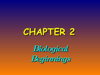 CHAPTER 2   Biological Beginnings 
