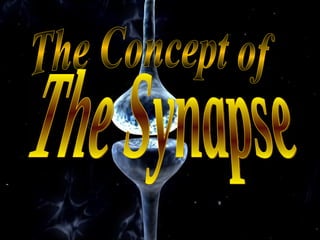 The Concept of The Synapse 