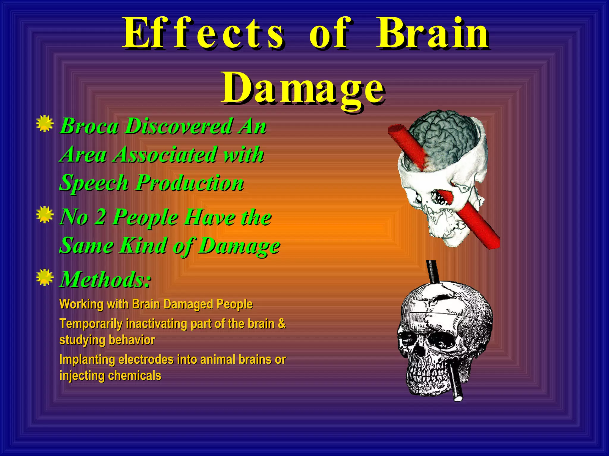 Effects of Brain Damage Broca Discovered An Area Associated with Speech Production No 2 People Have the Same Kind of Damage Methods: Working with Brain Damaged People Temporarily inactivating part of the brain & studying behavior Implanting electrodes into animal brains or injecting chemicals 