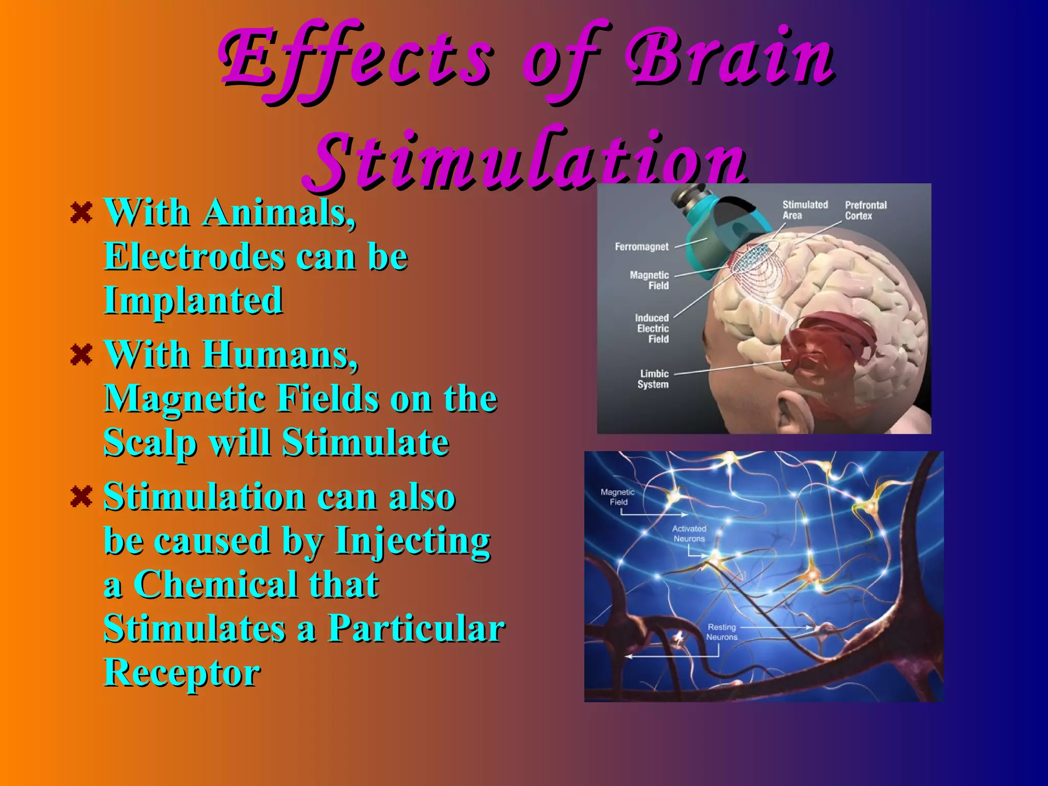 Effects of Brain Stimulation With Animals, Electrodes can be Implanted With Humans, Magnetic Fields on the Scalp will Stimulate Stimulation can also be caused by Injecting a Chemical that Stimulates a Particular Receptor 