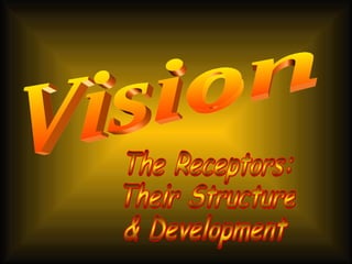 Vision The Receptors: Their Structure & Development 