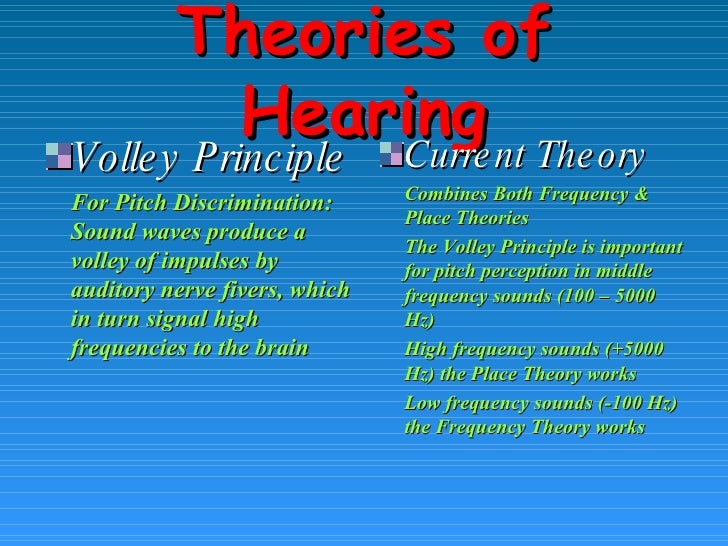 Chapter 07 Other Sensory Systems & Attention