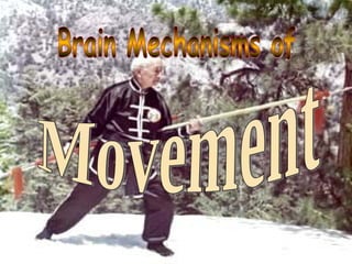 Brain Mechanisms of Movement 