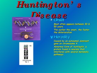 Huntington’s Disease Onset Most often appears between 30 & 50 years The earlier the onset, the faster the deterioration Heredity Caused by an autosomal  dominant  gene on chromosome 4 Abnormal form of  huntingtin , a protein found in neurons that interferes with several metabolic pathways 
