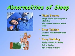 Abnormalities of Sleep Night Terrors Abrupt, anxious awakening from a nREM sleep More common in children than in adults Sleep Talking Can occur in REM or nREM sleep Harmless Sleep Walking Usually in Steges 3 or 4 sleep Early in the night More common in children 