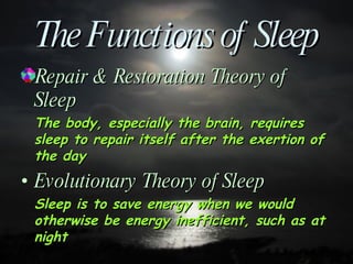 The Functions of Sleep Repair & Restoration Theory of Sleep The body, especially the brain, requires sleep to repair itself after the exertion of the day Evolutionary Theory of Sleep Sleep is to save energy when we would otherwise be energy inefficient, such as at night 