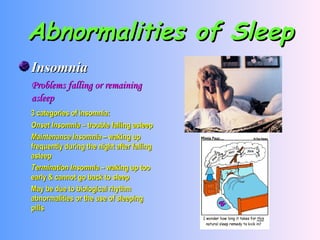 Abnormalities of Sleep Insomnia Problems falling or remaining asleep 3 categories of insomnia: Onset Insomnia –  trouble falling asleep Maintenance Insomnia –  waking up frequently during the night after falling asleep Termination Insomnia –  waking up too early & cannot go back to sleep May be due to biological rhythm abnormalities or the use of sleeping pills 