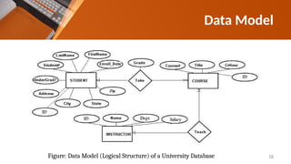 Data Model
18
Figure: Data Model (Logical Structure) of a University Database
 