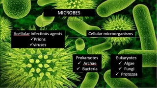WHY STUDY
MICROBIOLOGY?
 
