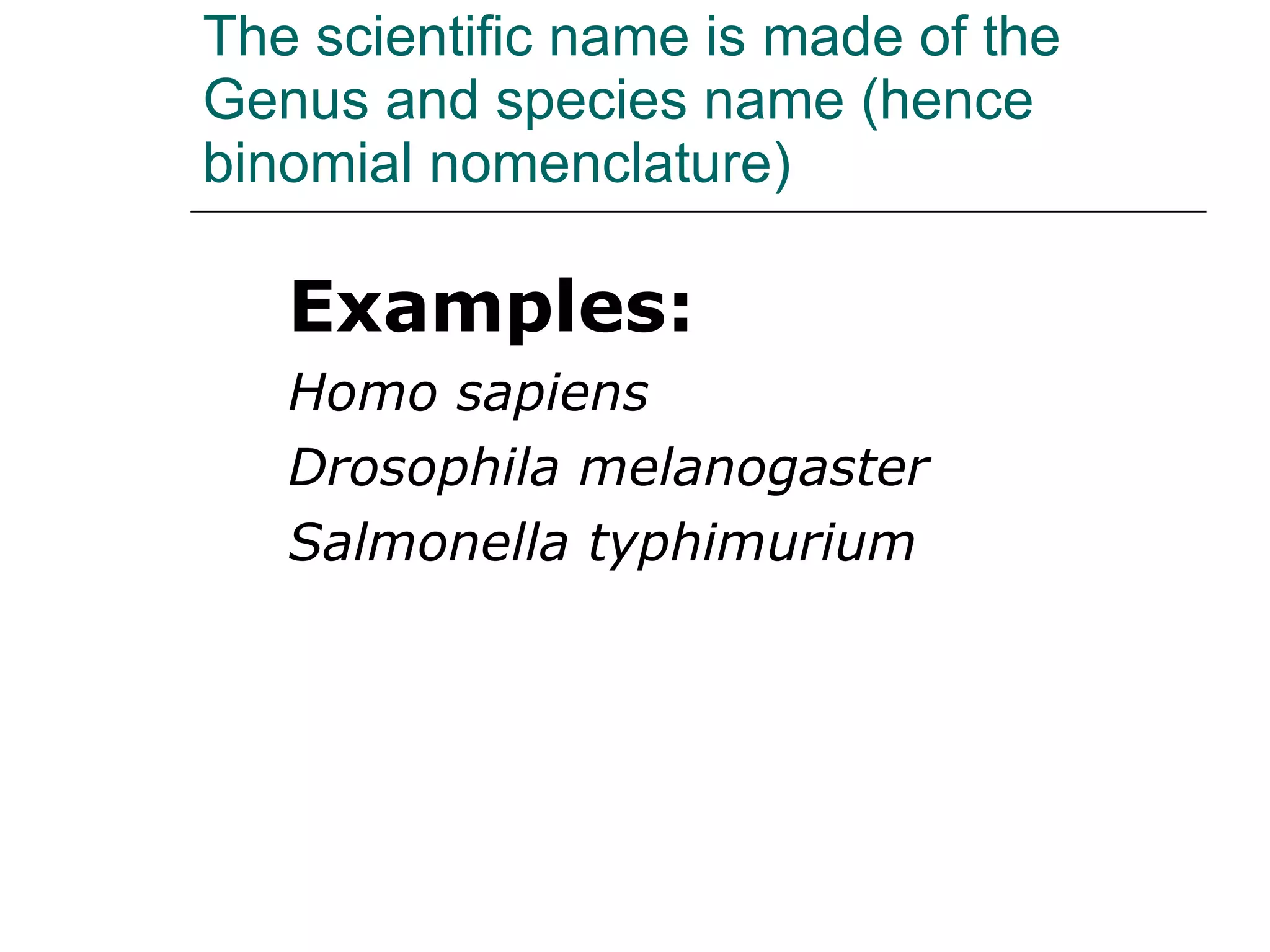 The scientific name is made of the Genus and species name (hence binomial nomenclature) Examples: Homo sapiens Drosophila melanogaster Salmonella typhimurium 