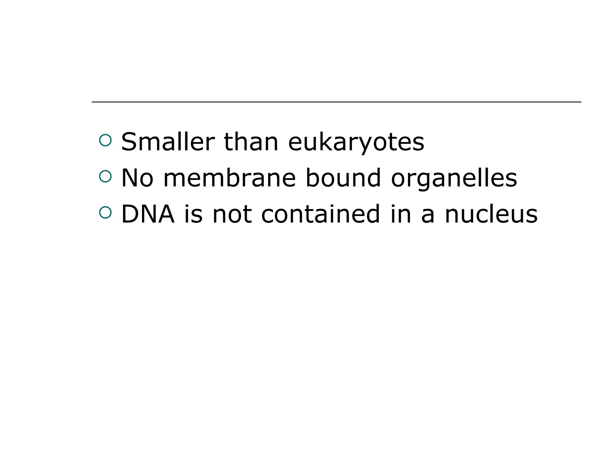Smaller than eukaryotes No membrane bound organelles DNA is not contained in a nucleus 