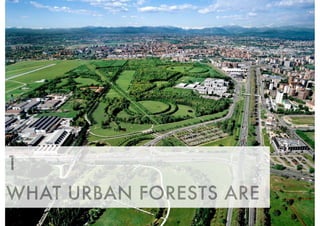 1
WHAT URBAN FORESTS ARE
 