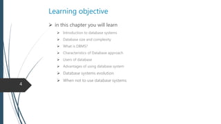 Fundamentals of Database system - Databases and Database Users | PPTX