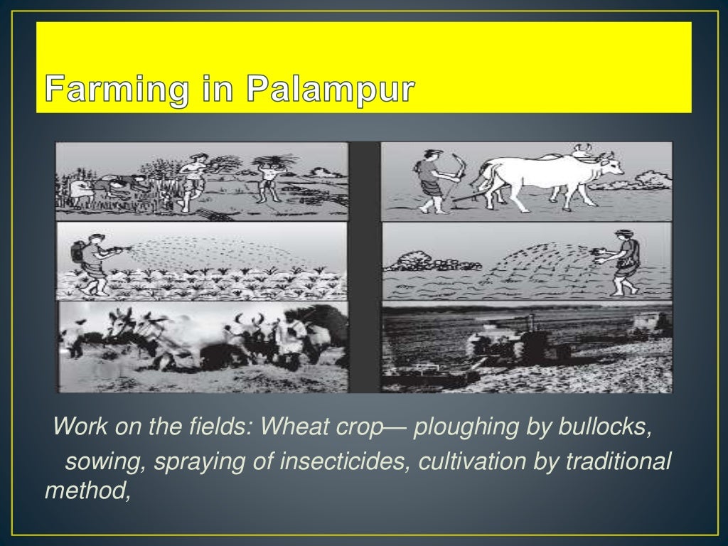 Economics Chapter 1 The Story Of Village Palampur economics-chapter-1-the-story-of-village-palampur