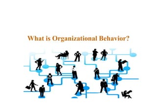 What is Organizational Behavior?
 