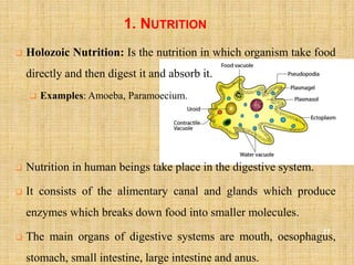 Holozoic Example Chapter 1. Introduction to Human Body | PPTX