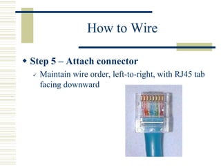 How to Wire
 Step 5 – Attach connector
 Maintain wire order, left-to-right, with RJ45 tab
facing downward
 