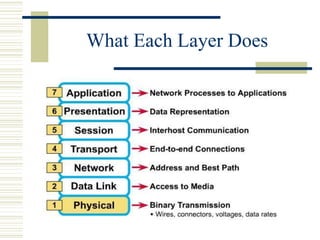 What Each Layer Does
 